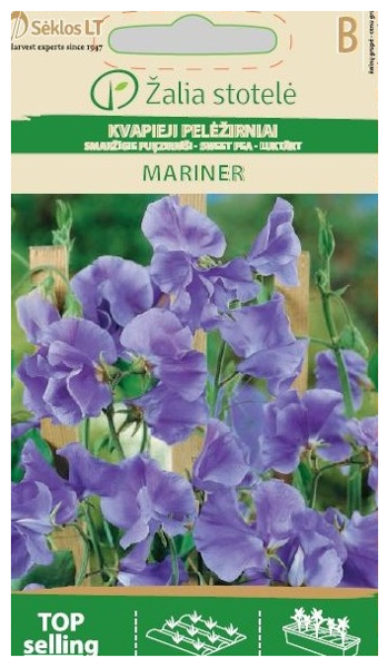 Puķzirnīši smaržīgie MARINER 3g