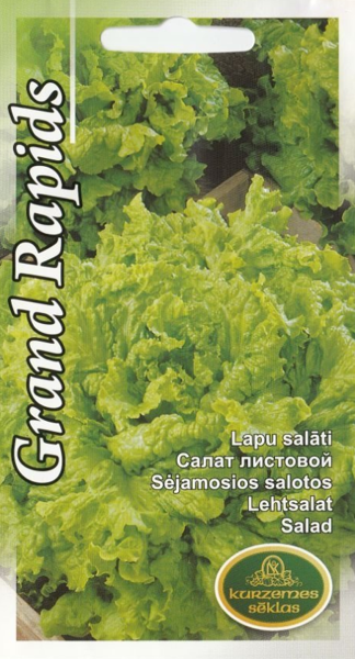 Salāti Grand Rapids
