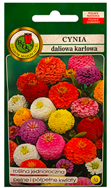 Cinnijas dāliju Cupido Mix 1g