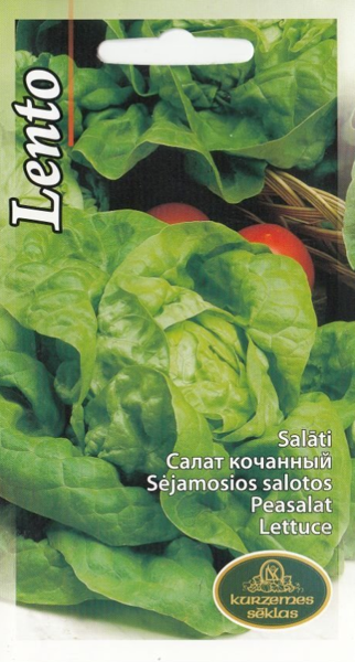 Salāti Lento