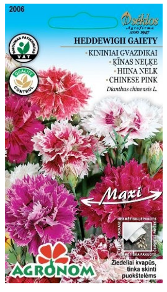 A Neļķes HEDDEWIGII GAIETY