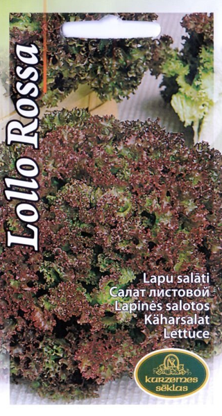 Salāti Lollo Rossa