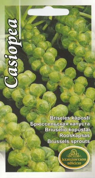 Briseles kāposti Casiopea