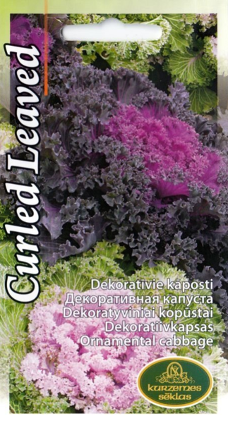 Dekoratīvie kāposti Curled Leaved