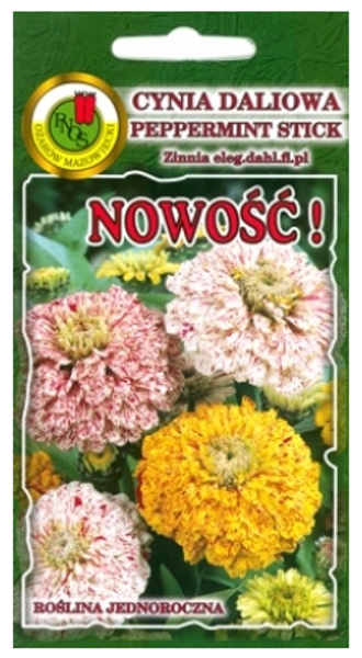 Cinnijas dāliju Peppermint Stick Mix 1g