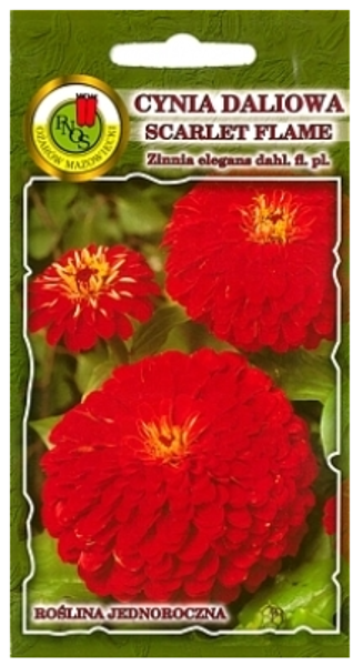 Cinnijas dāliju Scarlet Flame 1g