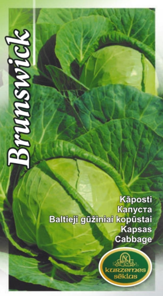 Kāposti Brunswick
