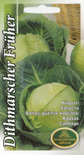 Kāposti Dithmarscher Früher