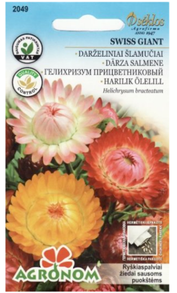 A Salmenes SWISS GIANT
