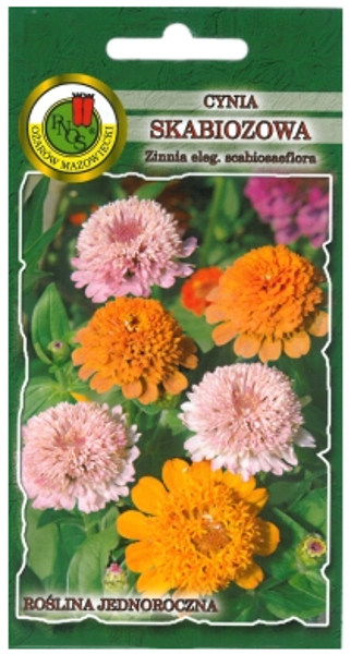 Cinnijas gleznās skabiozu Mix 1g
