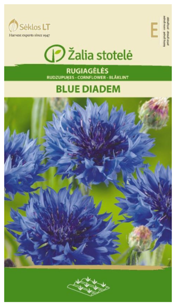 Rudzupuķes Blue Diadem