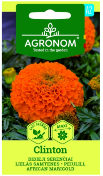 A Samtenes lielās CLINTON