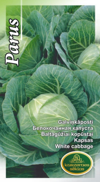 Kāposti Parus