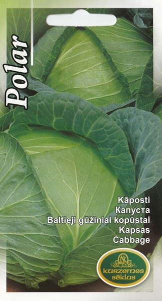 Kāposti Polar
