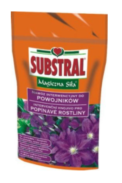 Mēslojums klematisiem Substral, 350 g
