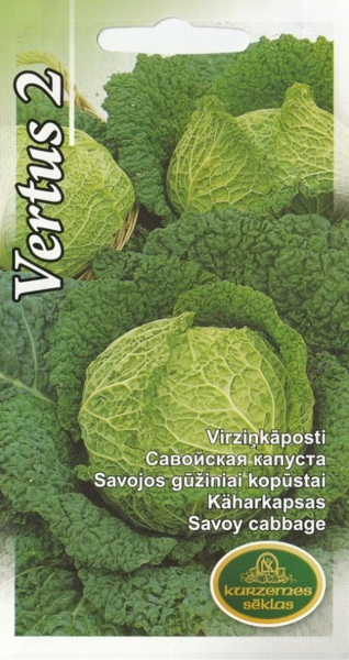 Kāposti Vertus 2