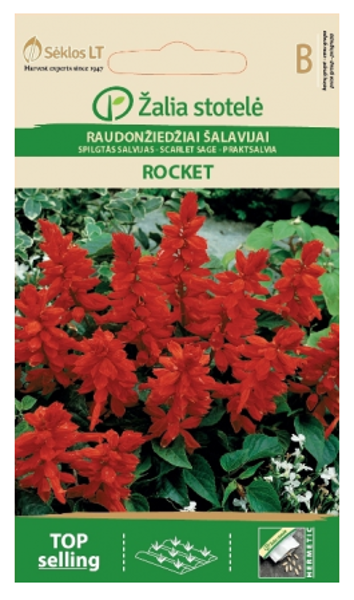 Salvija ROCKET 0.4g