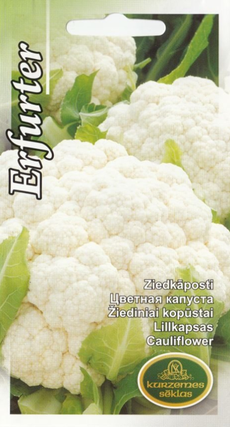 Ziedkāposti Erfurter