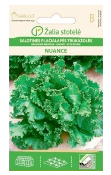 Endīvija platlapu NUANCE 0,5g