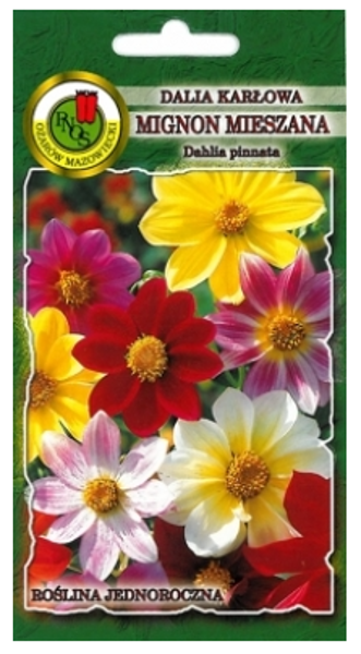 Dālijas vasaras Mignon Mix 1g
