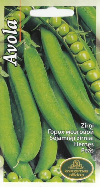 Zirņi Avola