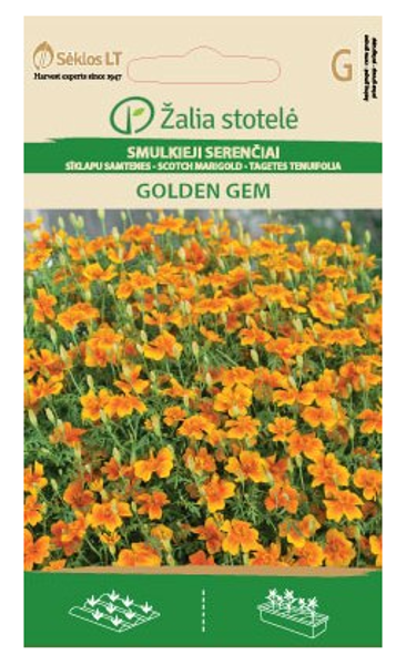 Samtenes sīklapu Golden Gem