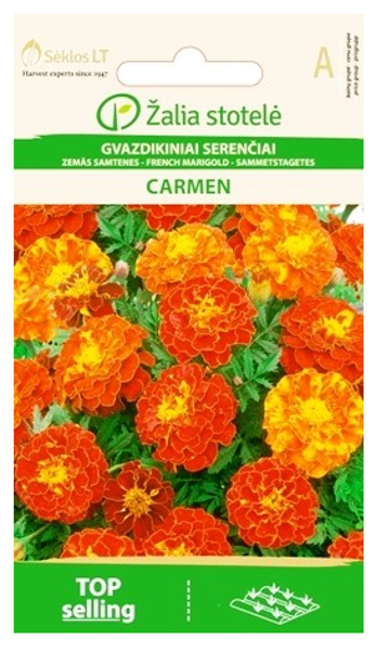 Samtenes zemās CARMEN 1g