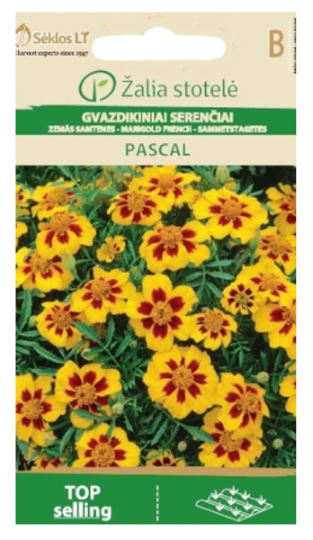 Samtenes zemās Pascal 0,5g