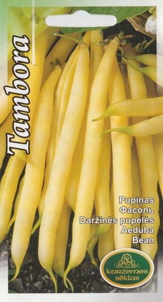 Pupiņas Tambora