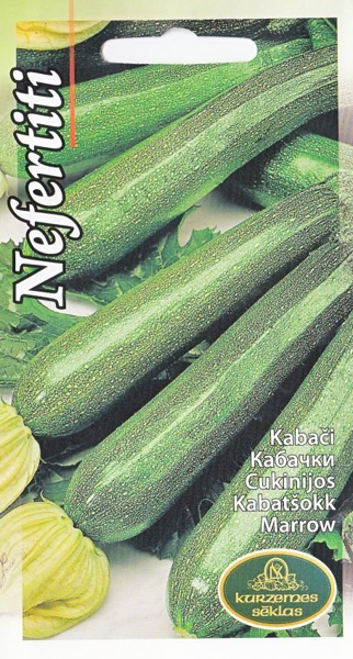 Kabači Nefertiti