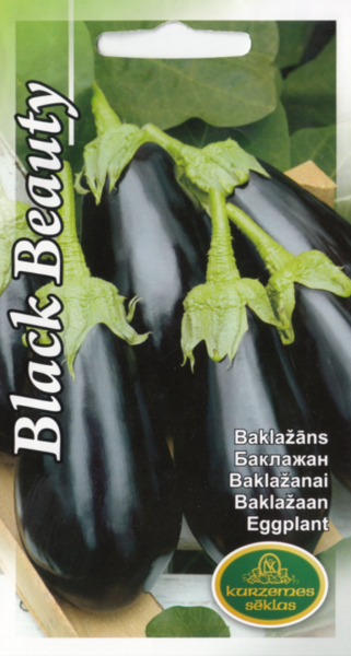 Baklažāni Black Beauty