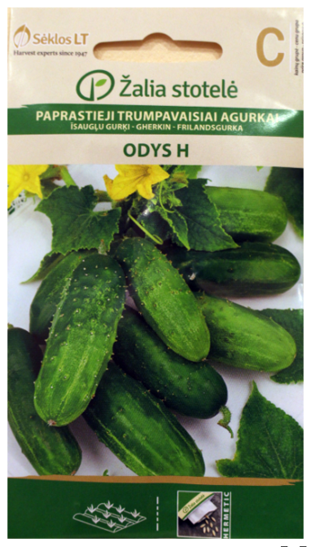 Gurķi Odys H 2g