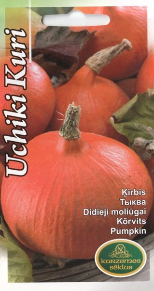 Ķirbis Uchiki Kuri