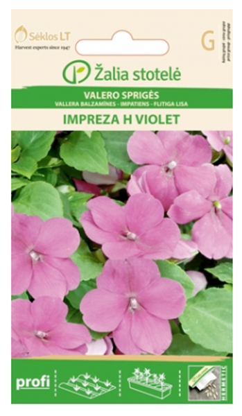 Spriganes IMPREZA H VIOLET 15s