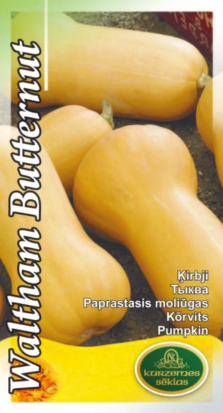 Ķirbis Waltham Butternut