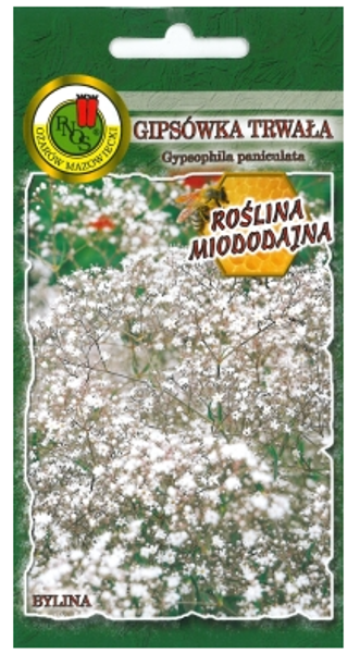 Ģipsene skarainā balta