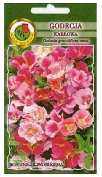 Godēcija lielziedu (zema auguma) Mix 1g