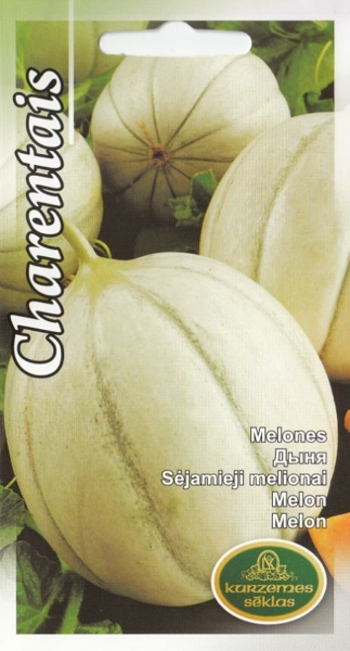Melone Charentais