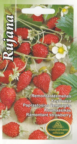 Remontantzemenes Rujana