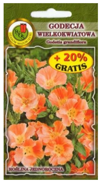 Godēcija lielziedu Orange Glory 1g