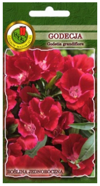Godēcija sarkana lielziedu 1g