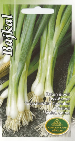 Sīpoli Bajkal