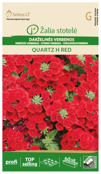 Verbena QUARTZ H RED 15s