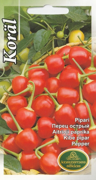 Pipari Koräl